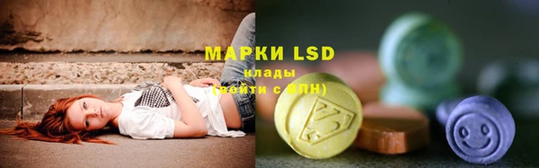 индика Пересвет