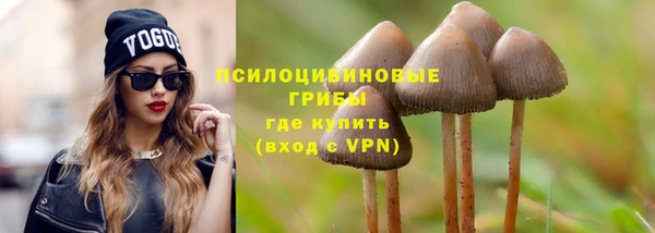 твердый Чердынь
