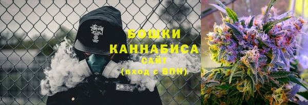 ПСИЛОЦИБИНОВЫЕ ГРИБЫ Чекалин