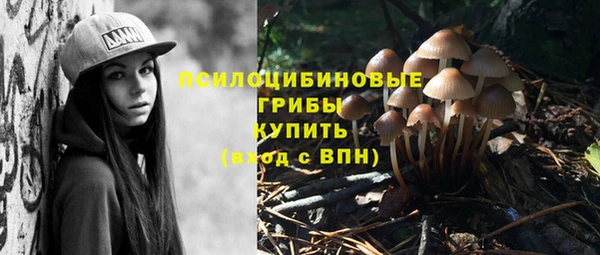 ПСИЛОЦИБИНОВЫЕ ГРИБЫ Чекалин