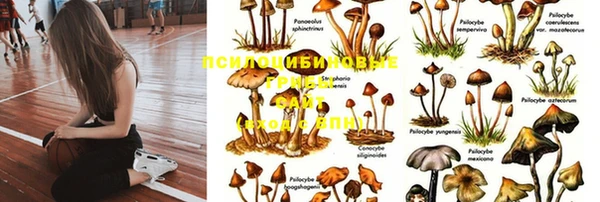 мескалин Чегем