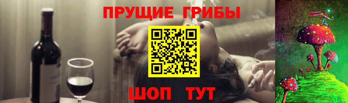 купить наркотик  Галлюциногенные грибы Psilocybine cubensis  Электросталь  Вход с VPN  Псилоцибиновые грибы прущие грибы 