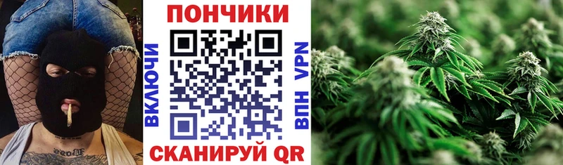Конопля OG Kush  купить закладку  Электросталь 